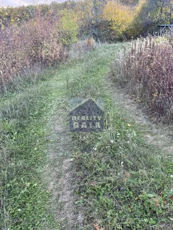 Prodej lesa, Ždánice, 3224 m2