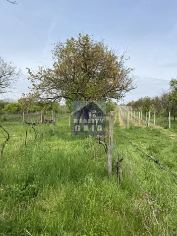 Prodej vinného sklepa, Vlkoš, 50 m2