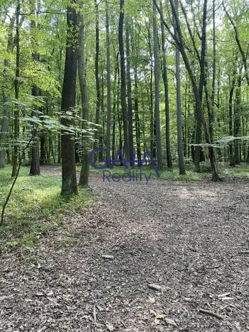 Prodej pozemku, Ždánice, 3224 m2