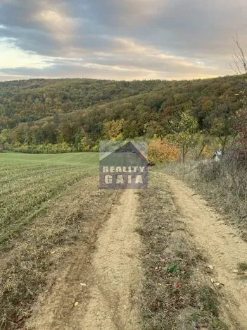 Prodej pozemku, Ždánice, 3224 m2