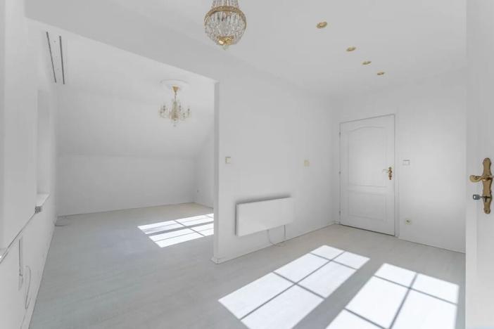 Prodej rodinného domu, Družec, V Zátiší, 289 m2