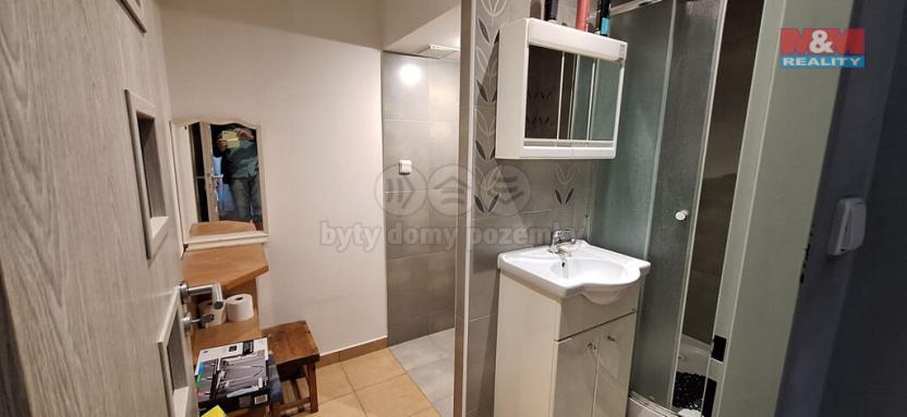 Prodej bytu 1+1, Slapy, 46 m2