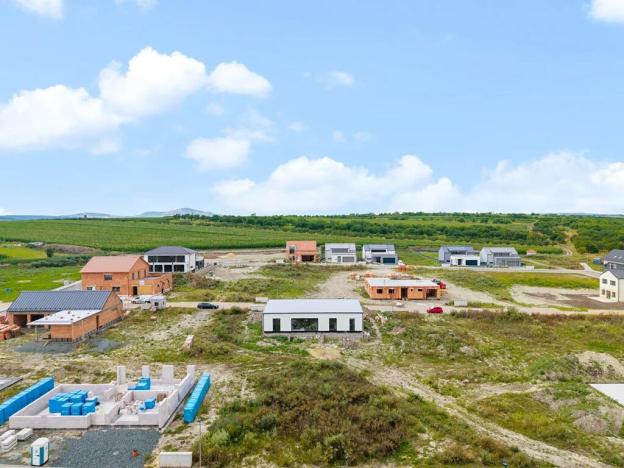 Prodej rodinného domu, Velké Pavlovice, Družstevní, 183 m2