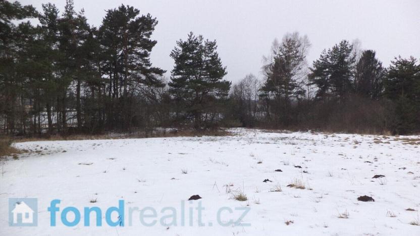 Prodej pozemku, Nová Bystřice - Blato, 19660 m2