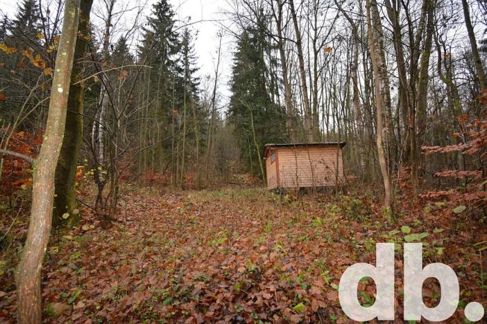 Prodej pozemku, Merklín, 3609 m2