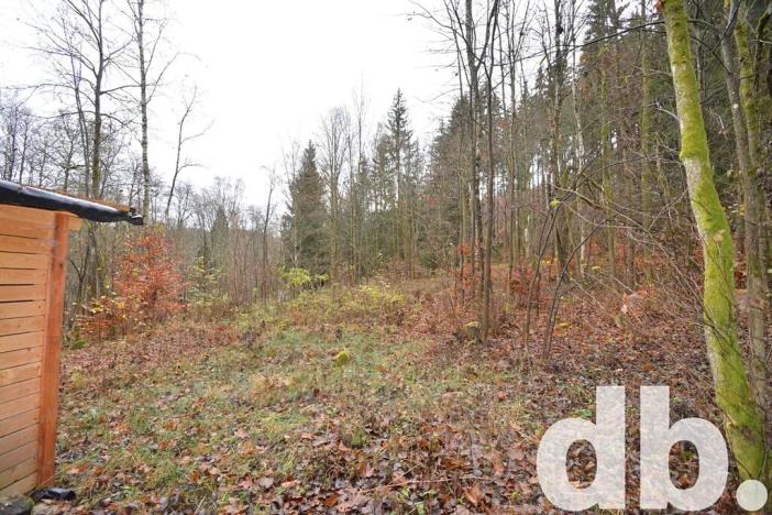 Prodej pozemku, Merklín, 3609 m2