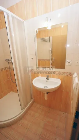 Pronájem bytu 1+kk, Neratovice, 19 m2