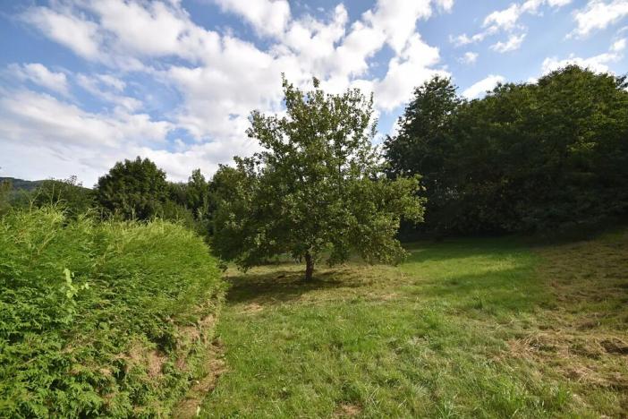 Prodej komerční nemovitosti, Česká Ves, Úzká, 280 m2