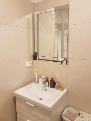 Prodej bytu 3+kk, Benešov, U Pivovaru, 65 m2