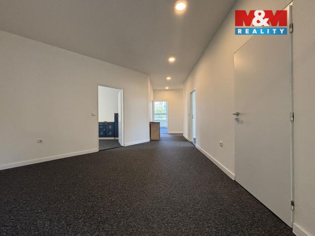 Pronájem komerční nemovitosti, Ostrava - Přívoz, Trocnovská, 240 m2