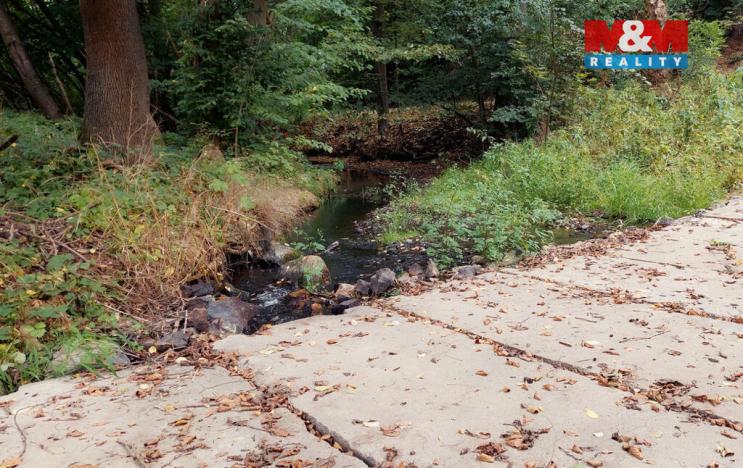 Prodej louky, Bystřice, 682 m2