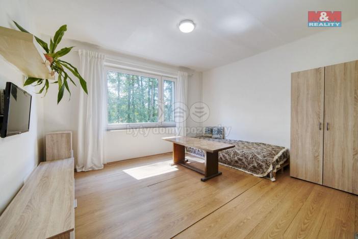 Pronájem bytu 1+kk, Praskolesy, 21 m2