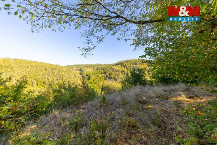 Prodej lesa, Lomnice, 7450 m2