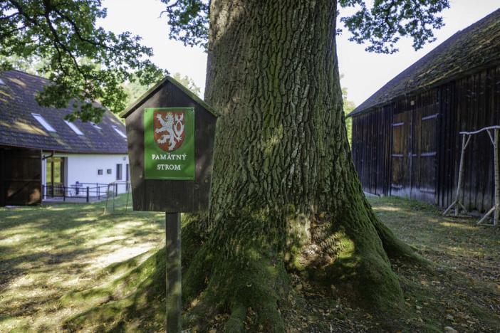 Prodej ubytování, Rodvínov, 1316 m2