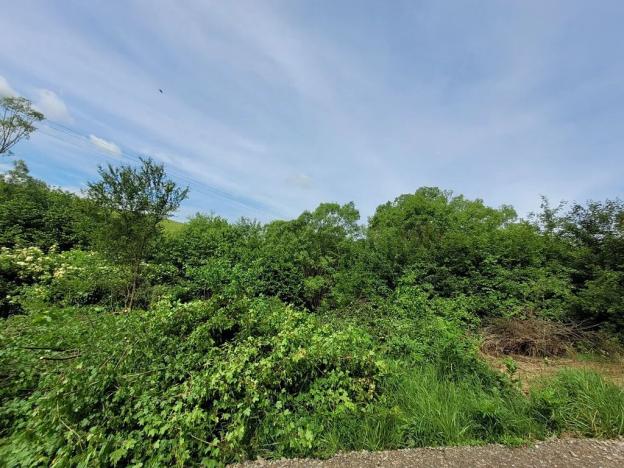 Prodej pozemku pro bydlení, Osvětimany, 1645 m2