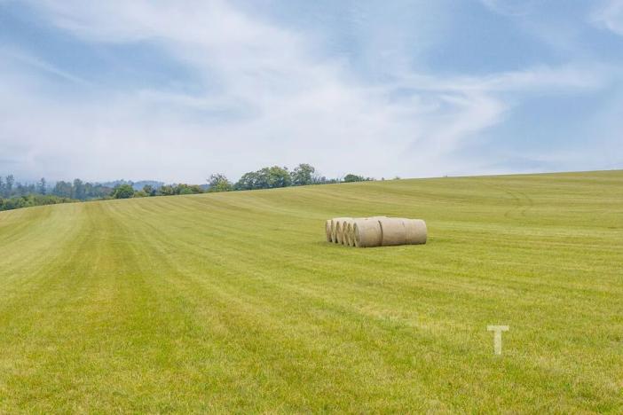 Prodej pozemku pro bydlení, Velenov, 12680 m2