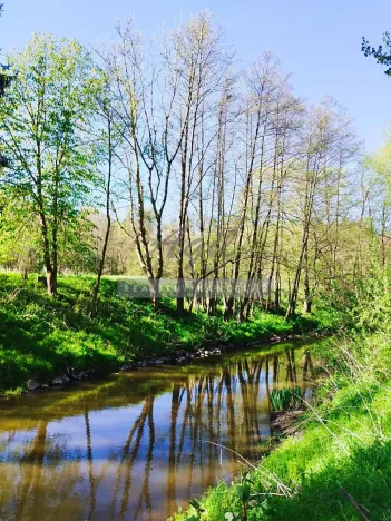 Prodej chaty, Pyšel, 160 m2