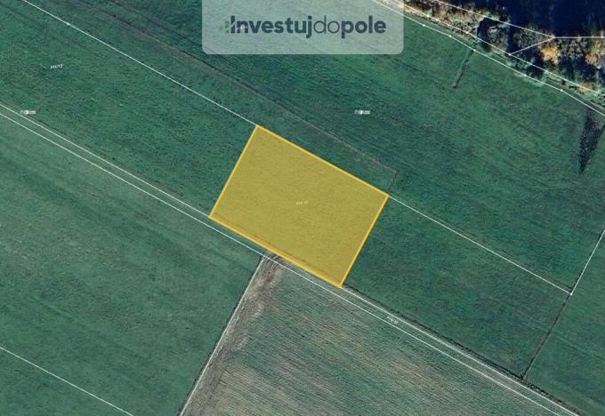 Prodej pole, Nové Hrady - Štiptoň, 5541 m2
