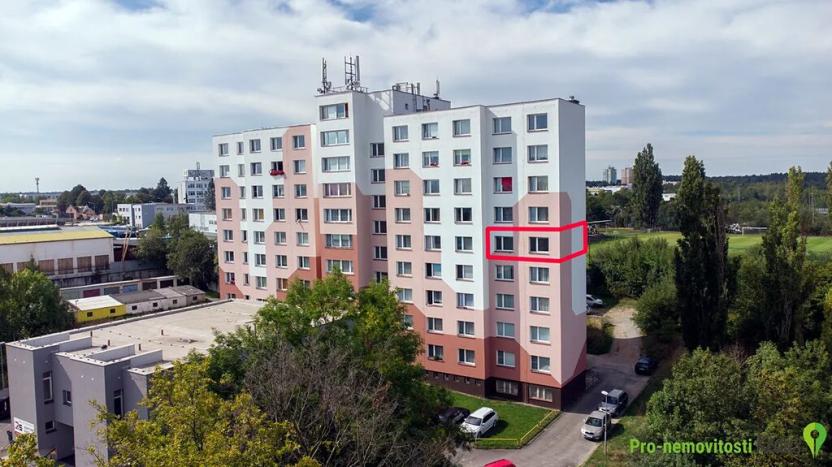 Prodej bytu 1+1, Plzeň, Kreuzmannova, 44 m2
