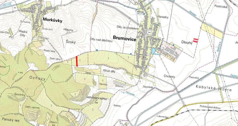 Prodej louky, Brumovice, 9612 m2