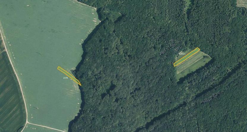 Prodej pole, Kněžpole, 25498 m2