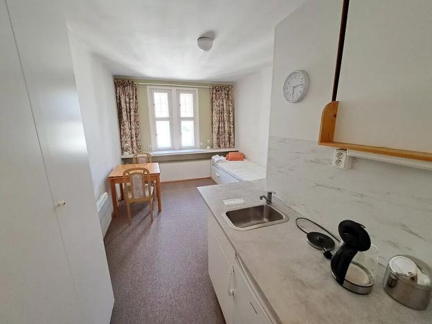 Pronájem bytu 1+kk, Brno, Dvořákova, 19 m2