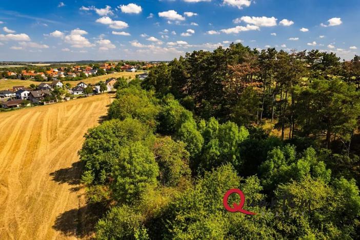 Prodej pozemku pro bydlení, Brandýsek, Nad Kovárnou, 16339 m2