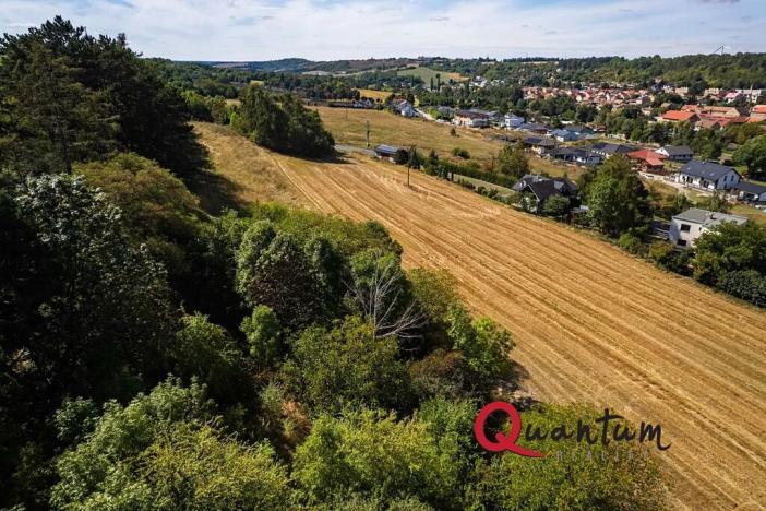 Prodej pozemku pro bydlení, Brandýsek, Nad Kovárnou, 16339 m2