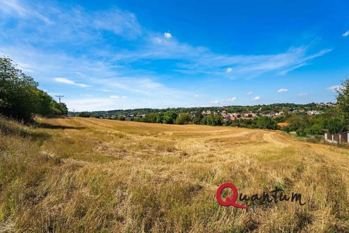 Prodej pozemku pro bydlení, Brandýsek, Nad Kovárnou, 16339 m2
