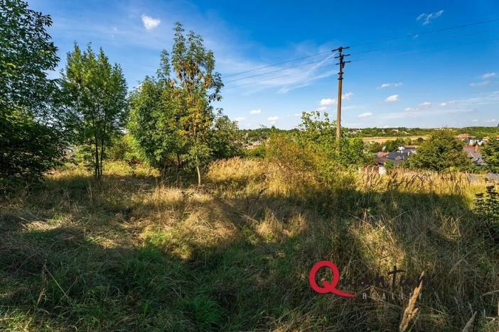 Prodej pozemku pro bydlení, Brandýsek, Nad Kovárnou, 16339 m2