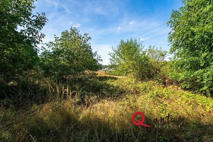 Prodej pozemku pro bydlení, Brandýsek, Nad Kovárnou, 16339 m2