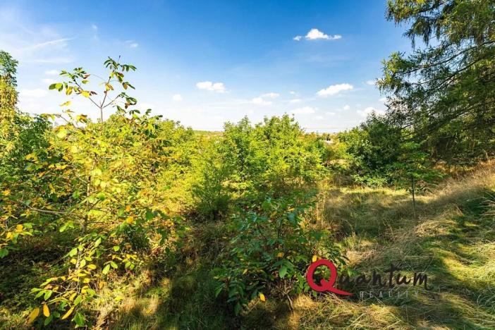 Prodej pozemku pro bydlení, Brandýsek, Nad Kovárnou, 16339 m2