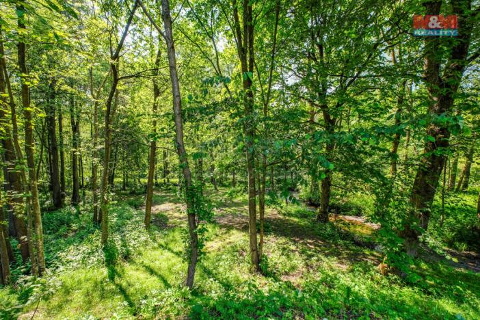 Prodej pozemku pro bydlení, Nový Hrádek - Rzy, 2648 m2