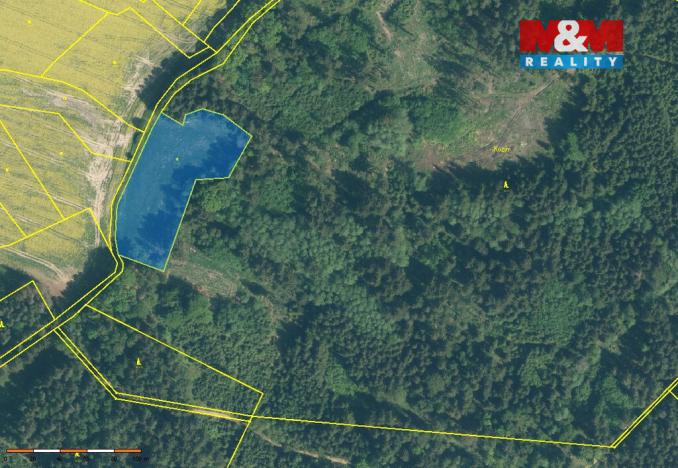 Prodej lesa, Milevsko - Klisín, 154293 m2