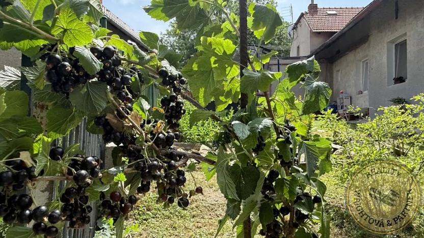 Prodej rodinného domu, Ždánice, 153 m2