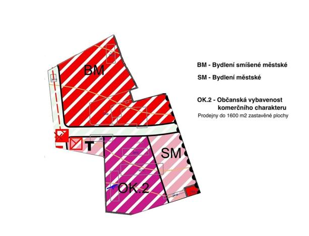 Prodej komerčního pozemku, Aš, Chebská, 22102 m2
