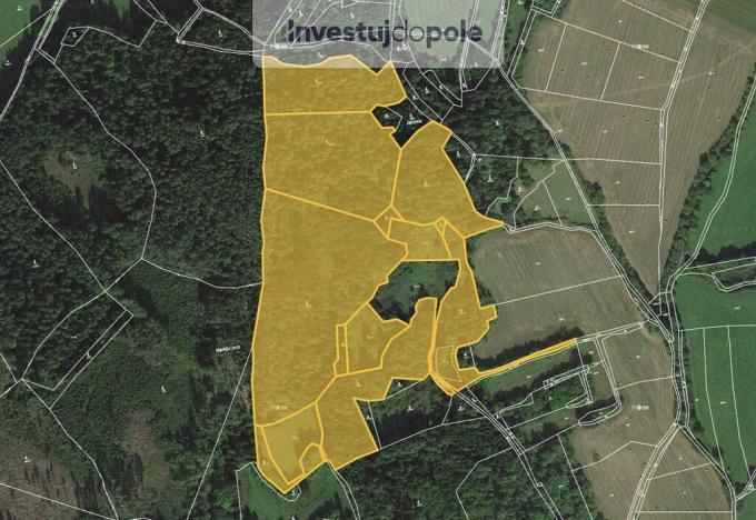 Prodej lesa, Nezdice na Šumavě, 88831 m2