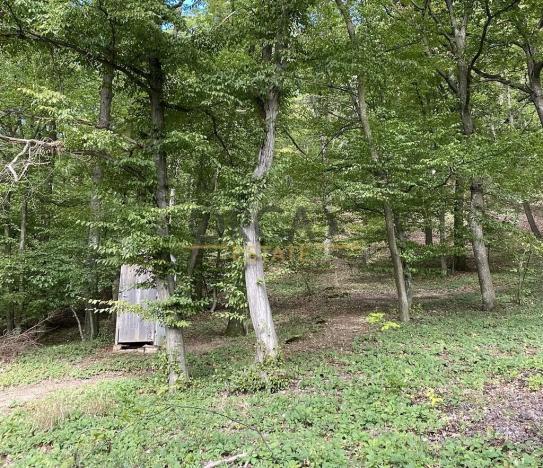 Prodej chaty, Moravany, 24 m2