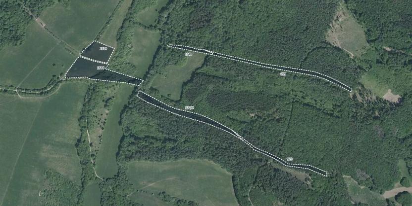 Prodej louky, Bojkovice, 27635 m2