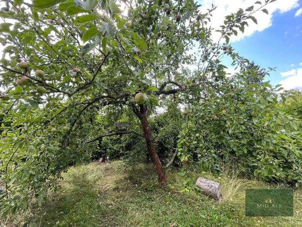 Prodej zahrady, Plzeň, Sluneční, 341 m2