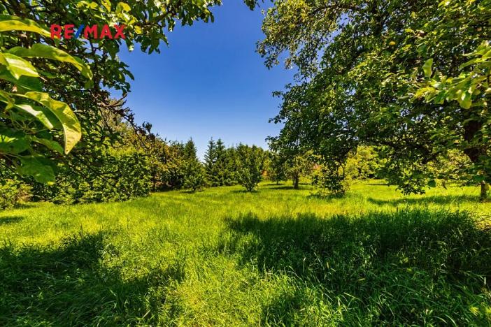 Prodej zemědělské usedlosti, Medový Újezd, 218 m2