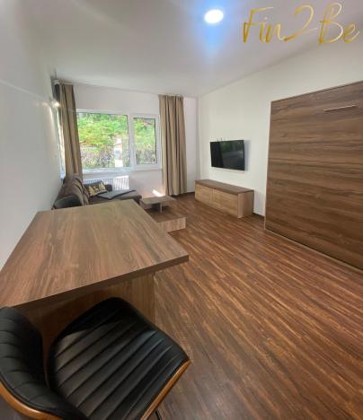 Pronájem bytu 1+kk, Ostrov - Horní Žďár, 28 m2