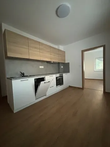 Pronájem vícegeneračního domu, Velká Bystřice, Kollárova, 240 m2