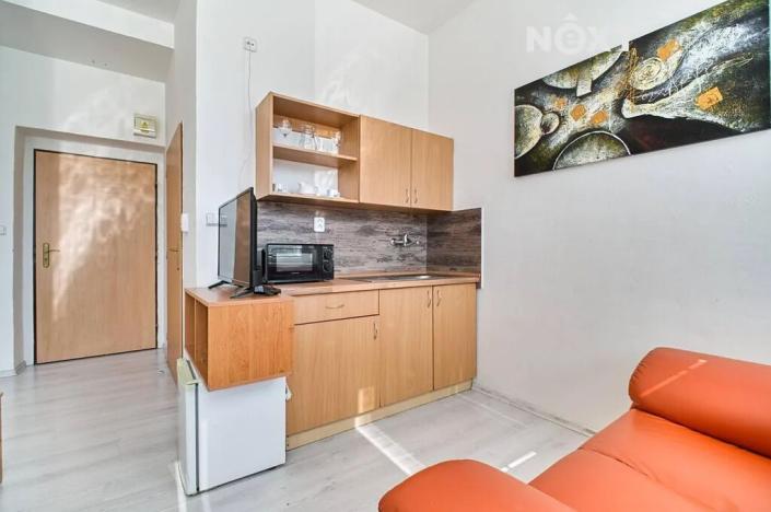 Pronájem bytu 1+kk, Orlová, Těšínská, 22 m2