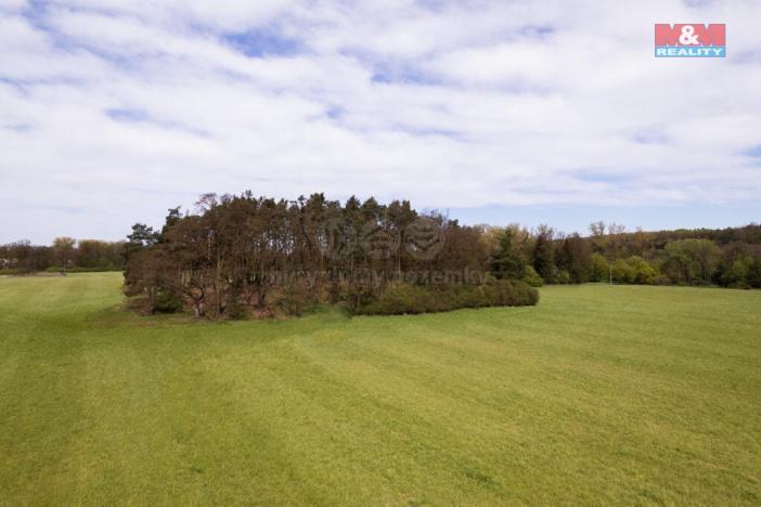 Prodej lesa, Borohrádek, 7342 m2