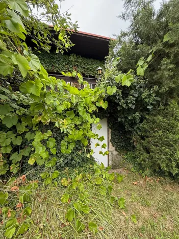 Prodej chaty, Nespeky, 50 m2