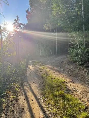 Prodej chaty, Nespeky, 50 m2