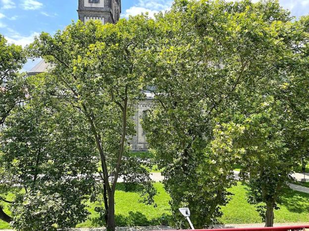 Prodej bytu 2+kk, Praha - Karlín, Kollárova, 67 m2