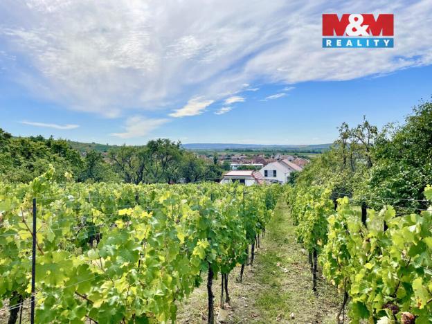 Prodej vinného sklepa, Perná, 31 m2