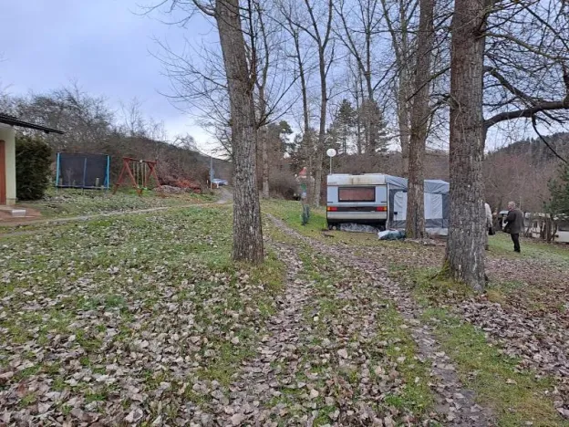 Prodej lesa, Županovice, 2148 m2